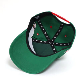 Mississippi Valley State