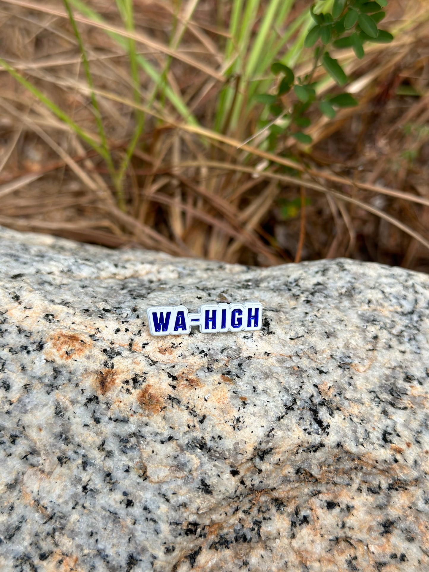 Washington High School Hat Pin