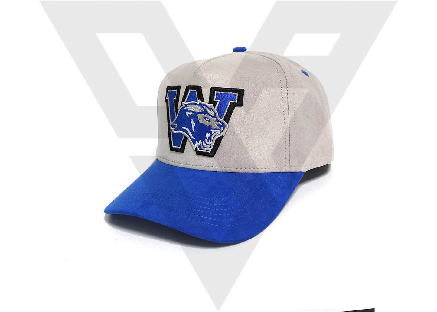 Westlake Suede SnapBack